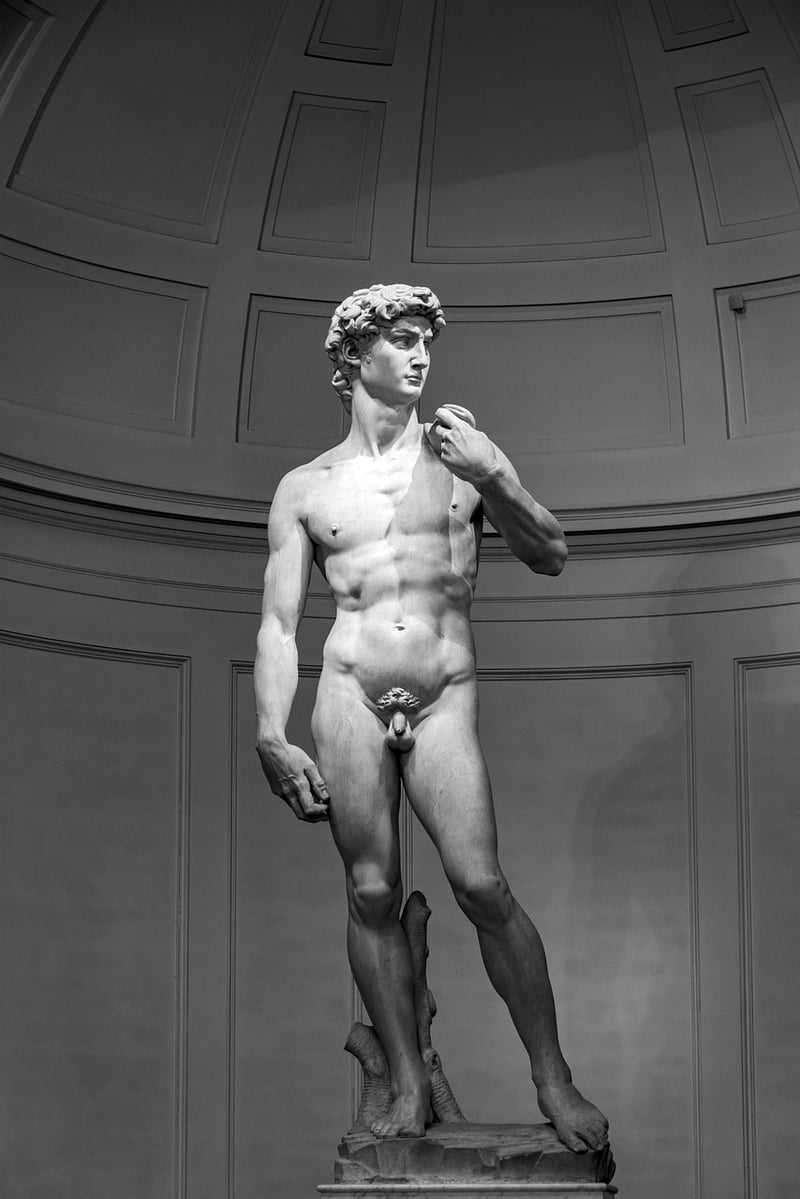 Michelangelo's Art